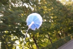 jugendwanderfahrt_24_20120902_1238720186