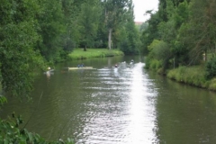 waiblingen_14_20120902_1963216886