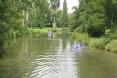 drachenbootcup_7_20120902_1125447576