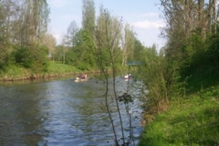 firmenrudern_41_20120902_1649329845