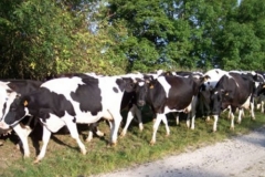 jugendwanderfahrt_14_20120902_1599480636