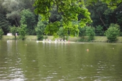 ulm_30_20120902_1108797141