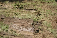 baggerfahren_11_20120902_1307870717