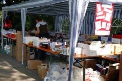 drachenbootcup_18_20120902_1115413318