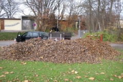 putzdienst_41_20120902_1880777555