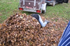 putzdienst_42_20120902_2039816136