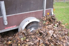 putzdienst_51_20120902_1678363905