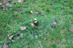 putzdienst_53_20120902_1758914833