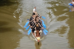 drachenbootcup_16_20120902_1497515847