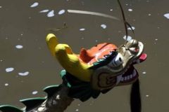 drachenbootcup_37_20120902_1208127570