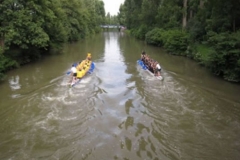 drachenbootcup_56_20120902_2058631441