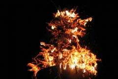 tonnenfest_ii_20_20120902_1374653522