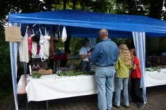 drachenbootcup_1_20120902_1813378968