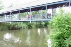 drachenbootcup_3_20120902_1767564465