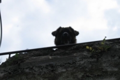 jugendwanderfahrt_28_20120902_1699394565