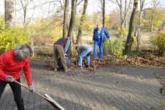 putzdienst_1_20120902_1109826214