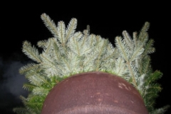 tonnenfest_ii_2_20120902_1233037848