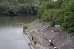 wanderfahrt_lauffen_besigheim_34_20120902_1171616278
