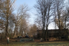 baumfaellen_10_20120902_1202517957