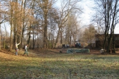 baumfaellen_11_20120902_1841737953