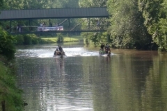 drachenbootcup_18_20120902_1644473117