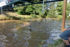 drachenbootcup_38_20120902_1556481597