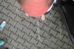 nuernberg_23_20120902_1419523655