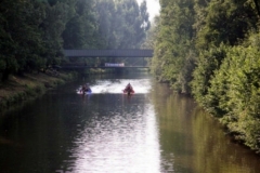 drachenbootcup_reyher_19_20120902_2094618052