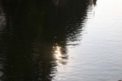 drachenbootcup_reyher_1_20120902_1099094758