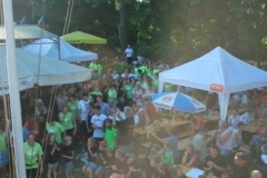 drachenbootcup_3_20120903_1757028723