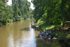 drachenbootcup_5_20120903_1826249730
