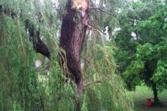 unwetter_1_20120903_1221191504