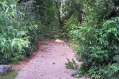 unwetter_2_20120903_1689349377