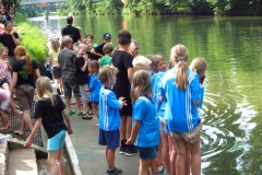 drachenbootcup_2013_20130707_1117882966
