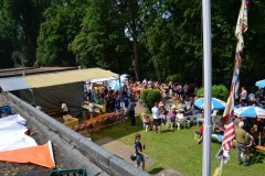 drachenbootcup_2013_20130707_1853168496