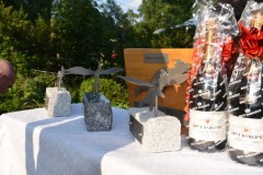 drachenbootcup_2013_20130707_1912001007