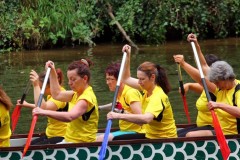 drabo_2014_2_6_20140706_1670571710