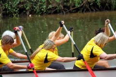 drabo_2014_2_8_20140706_1530236953