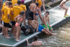 drachenbootcup_2015_13_20150707_1524426918