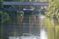 drachenbootcup_2015_14_20150707_1452387215