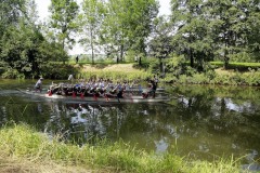 drachenbootcup_2015_31_20150707_1483304374