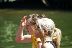 drachenbootcup_2015_37_20150707_1159379498