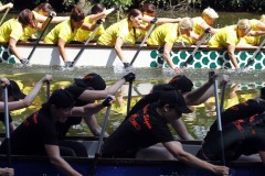 drachenbootcup_2015_47_20150707_1797389559