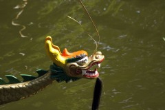 drachenbootcup_2015_4_20150707_1754604426