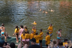 drachenbootcup_2015_9_20150707_1207667891