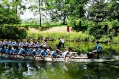 drachenbootcup_i_1_20150704_1115066625