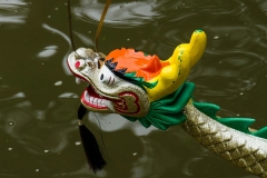 drachenbootcup_2016_2_35_20160703_1317115431