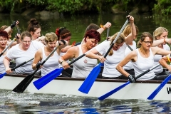 drachenbootcup_2016_3_18_20160709_1903079909