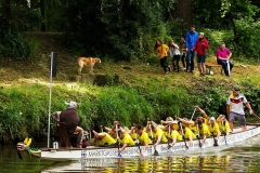 drachenbootcup_2016_4_15_20160703_1824248303