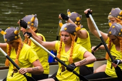 drachenbootcup_2016_4_4_20160703_1883889956
